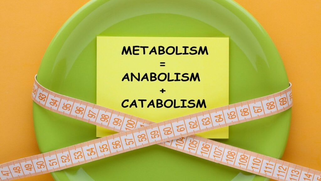 przyspieszyc metabolizm