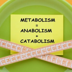 Jak przyspieszyć metabolizm?